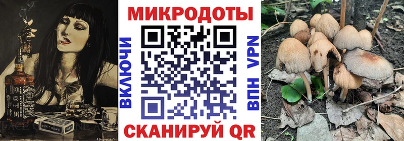 Купить где  Советский  Галлюциногенные грибы мицелий 